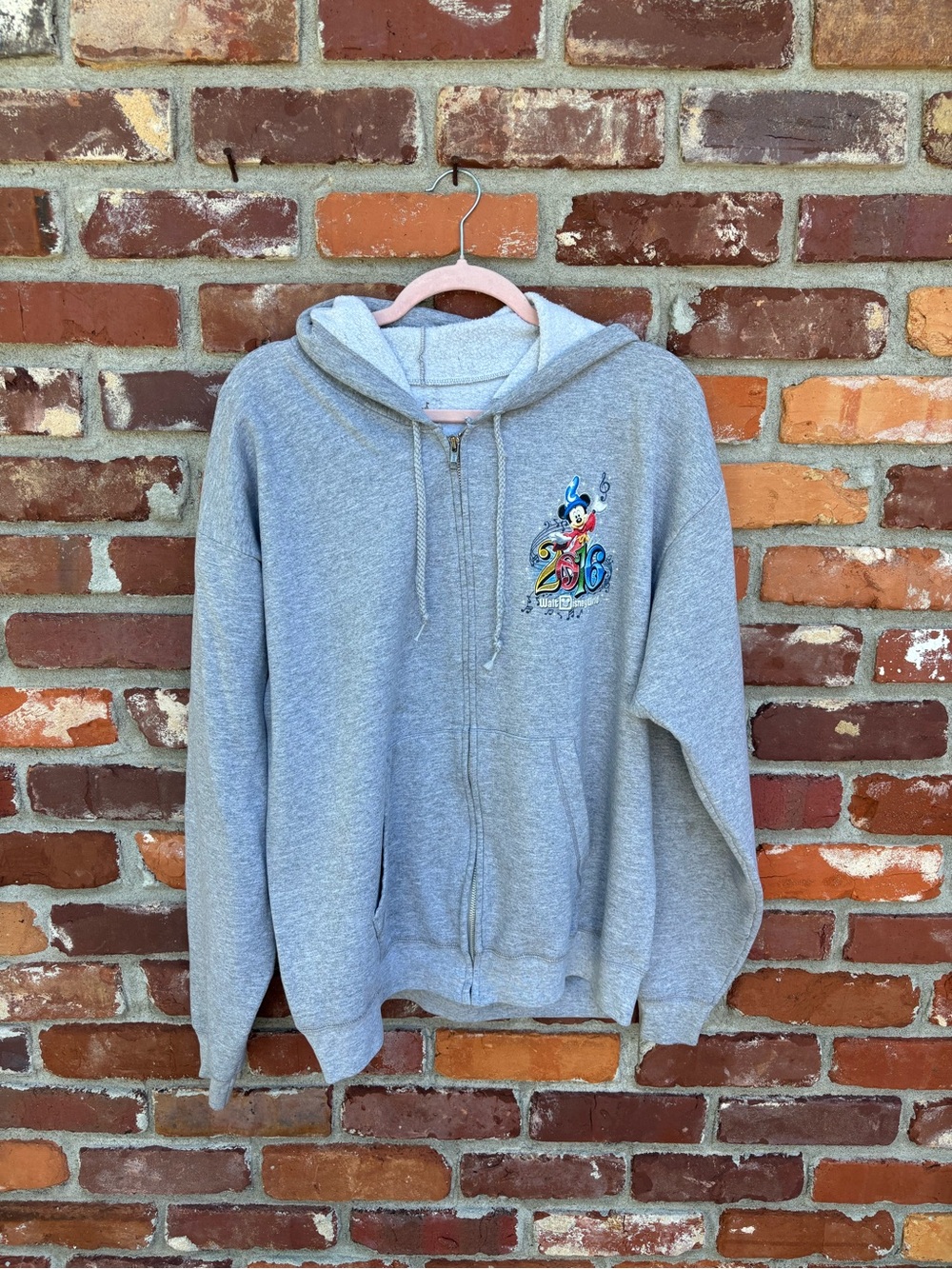 EUC Disney Hoodie